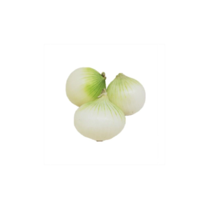 Cebolla cabezona