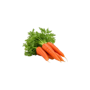 zanahoria