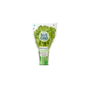 Lechuga crespa